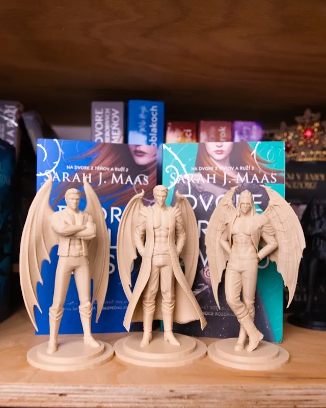 Partia Acotar