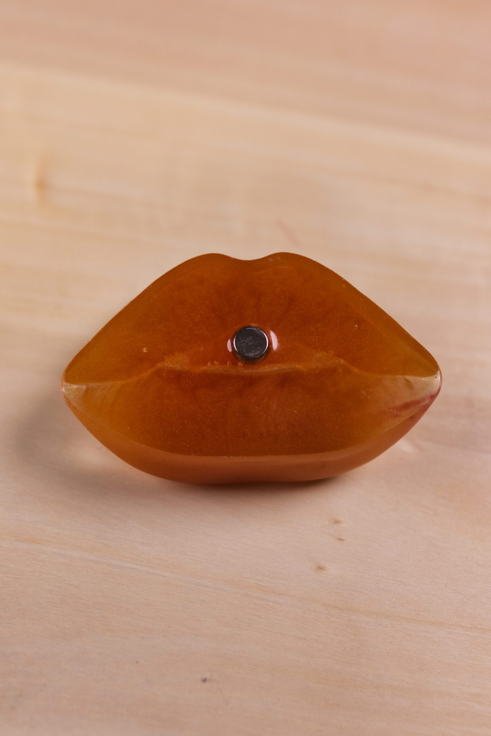 pusa pery zivica epoxid magnetka