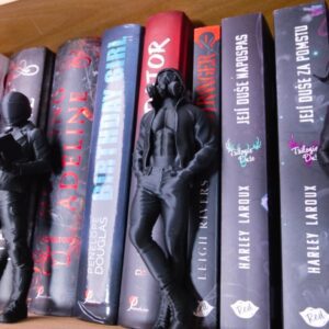 dekoracia knihovnicka knihovna kniha knihy book malachias malachy