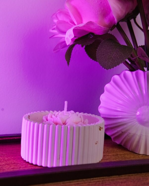 dekoracia sviečka sojova vosk sadra kvet