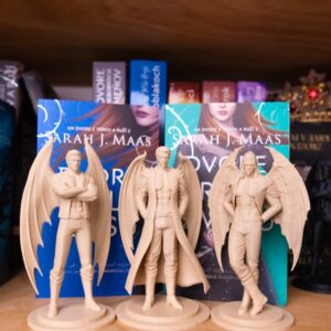 azriel 3D tlac romantasy knihovnicka bookshelf dekoracia knizna knihy kniha acotar kridla model postavicka rhysand cassian