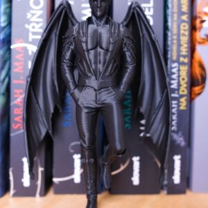 azriel zarazka postavicka kniha knihy bookshelf knihovna acotar
